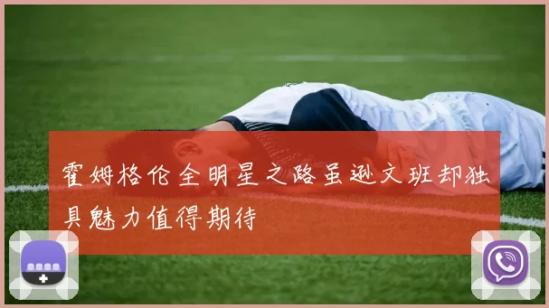 霍姆格伦全明星之路虽逊文班却独具魅力值得期待